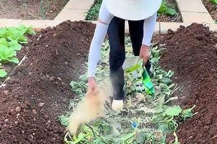 烂菜叶子如何制成有机肥