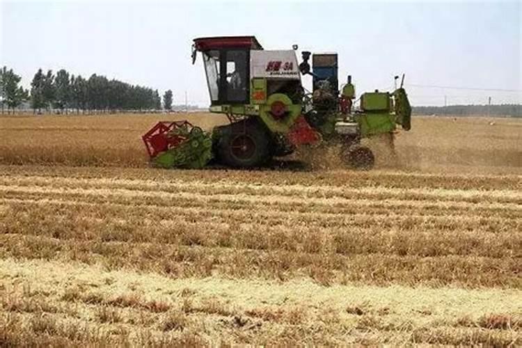 河南地区种小麦应该怎样施底肥,底肥氮磷钾的比例应该是多少,追肥追几次...