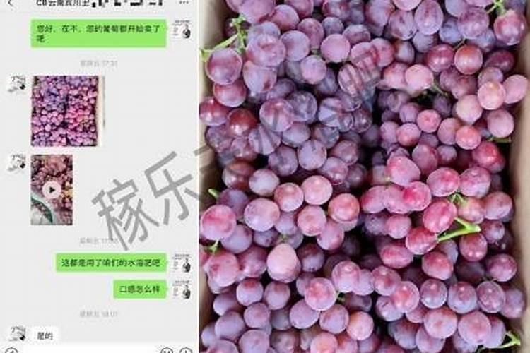 娃娃菜喷防冻剂有效果吗？