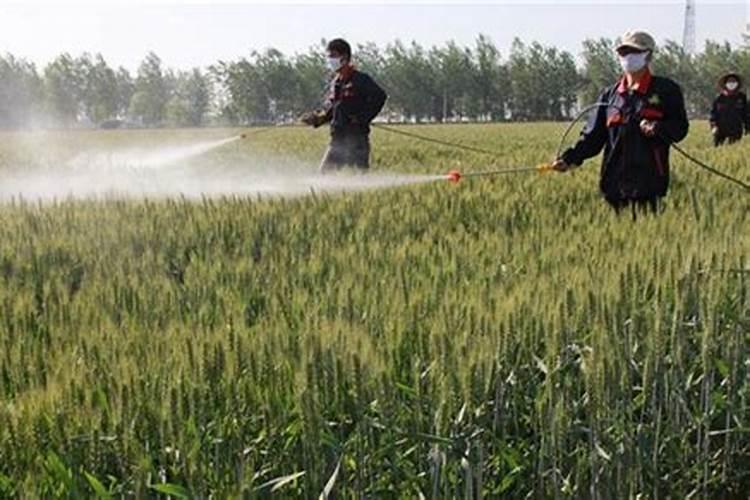 丰田卡罗拉为啥从14年就放弃了