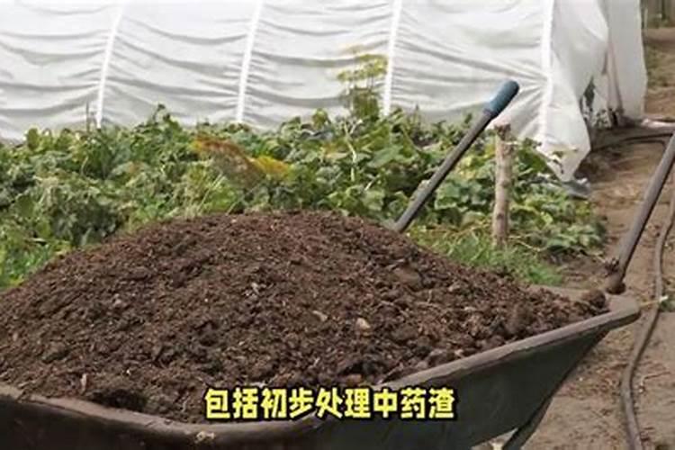枯树叶怎样发酵成肥料？