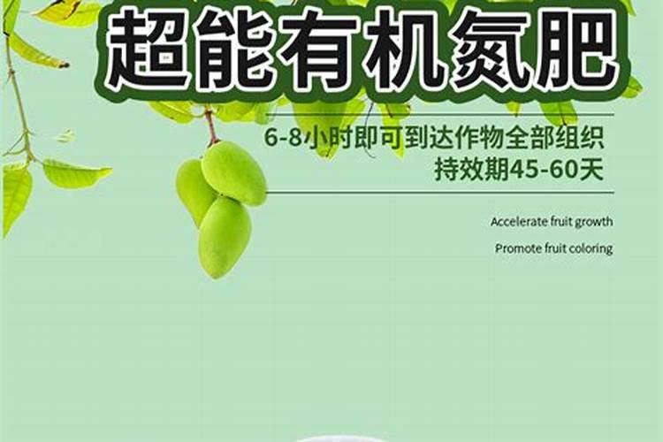 尿素可不可以作为小麦叶面肥