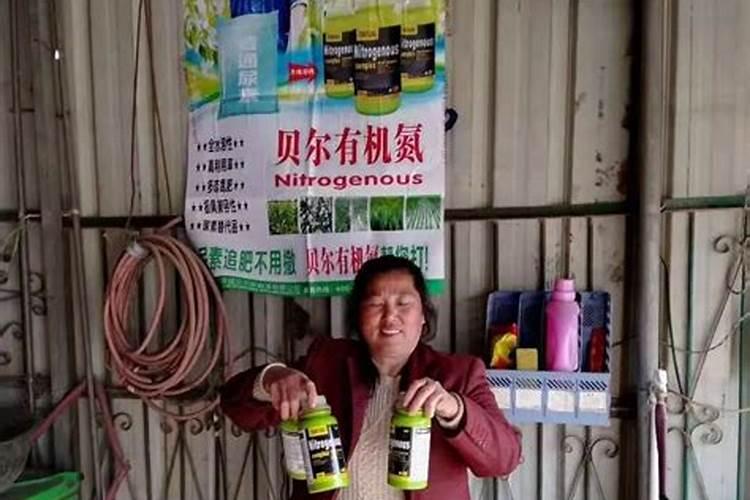 叶面肥和尿素哪个效果好