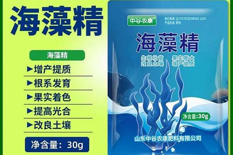 大蒜烂根黄叶是什么病？大蒜种植如何预防根腐病？大蒜增产施肥如何做