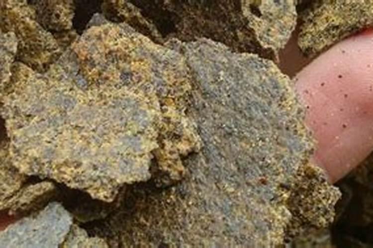 咋样用菜籽饼做肥料