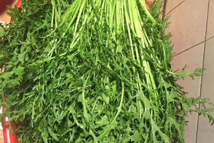 苹果树怎么剪枝 修剪时间和方法