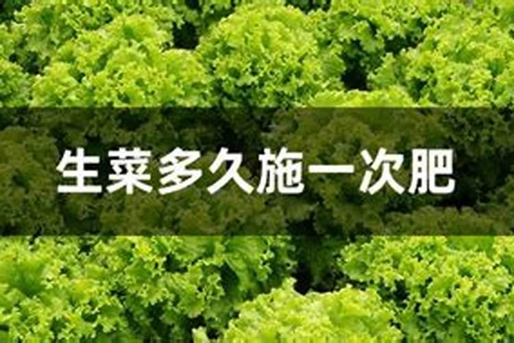 水种芥菜种植方法