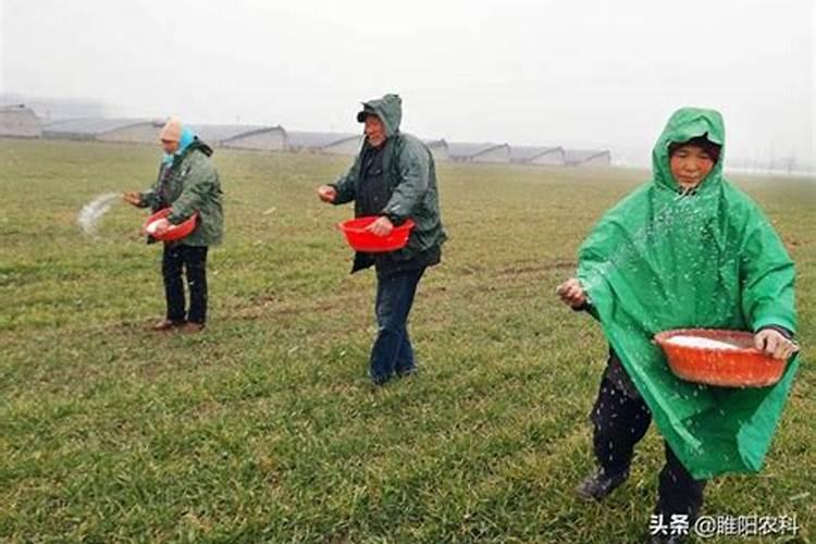 生产硝酸铵的上市公司名单