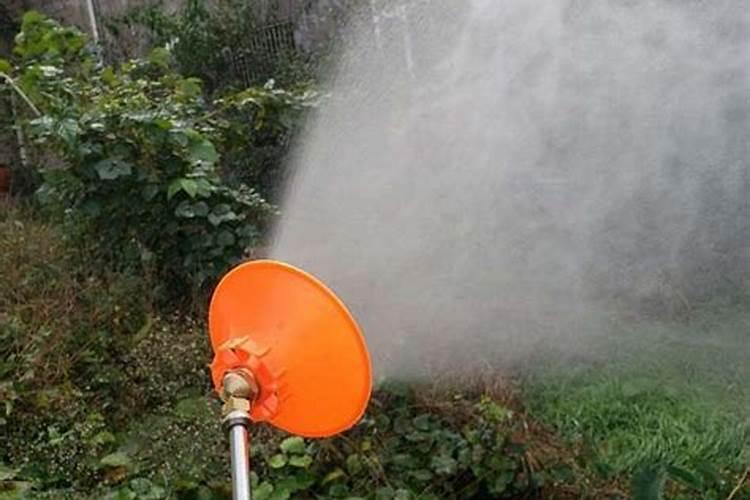 连翘树秋天几月移栽最好？