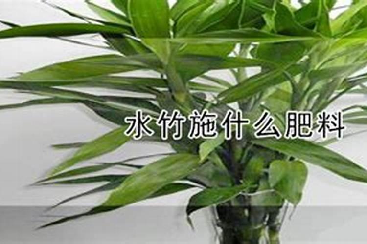 10斤水兑多少复合肥浇菜