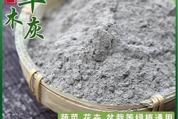 效果好的水溶肥是哪家