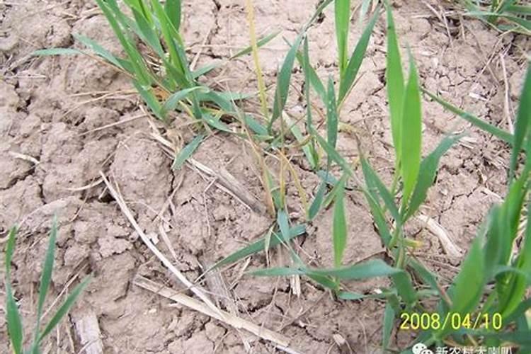 美滋乐不沾锅好吗？