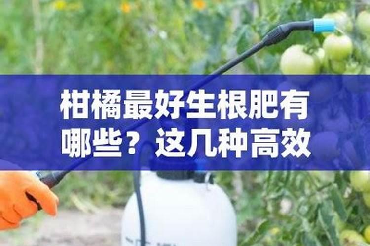 棉花的硼肥滴灌给棉花有用吗？