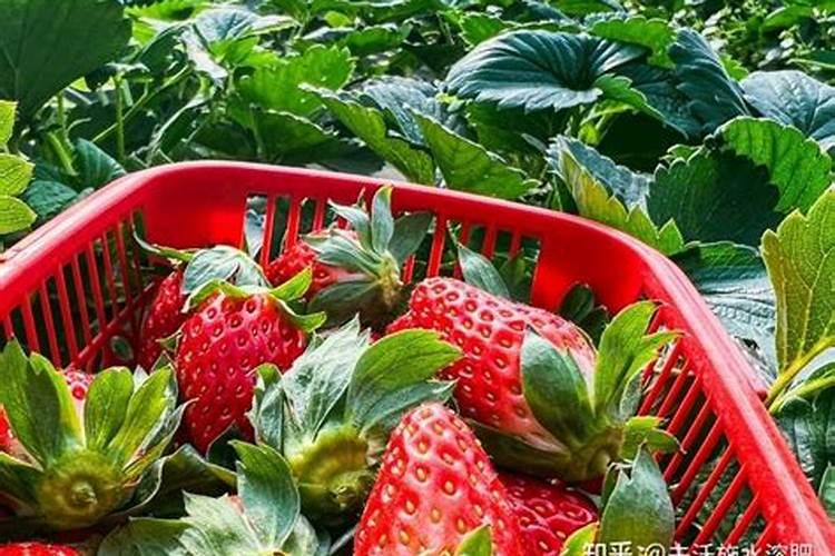 腐植酸钠哪个厂家质量最好