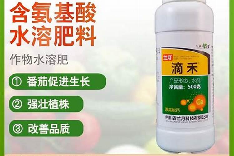 丝瓜如何才能多挂果