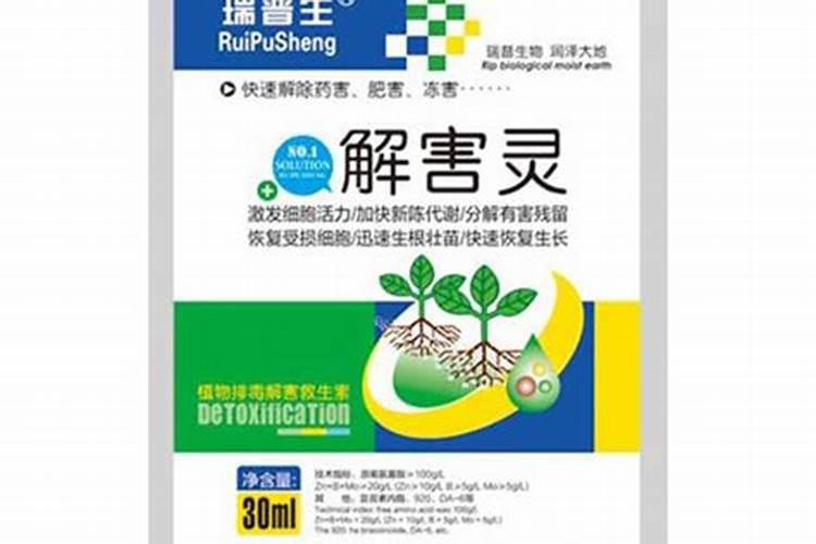 兰花开花时能施肥吗 开花的兰花能不能施肥