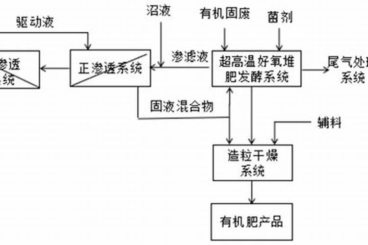 竹皇草的种植技术？什么时候种？