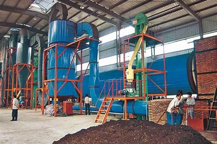 水稻钾肥什么时间施