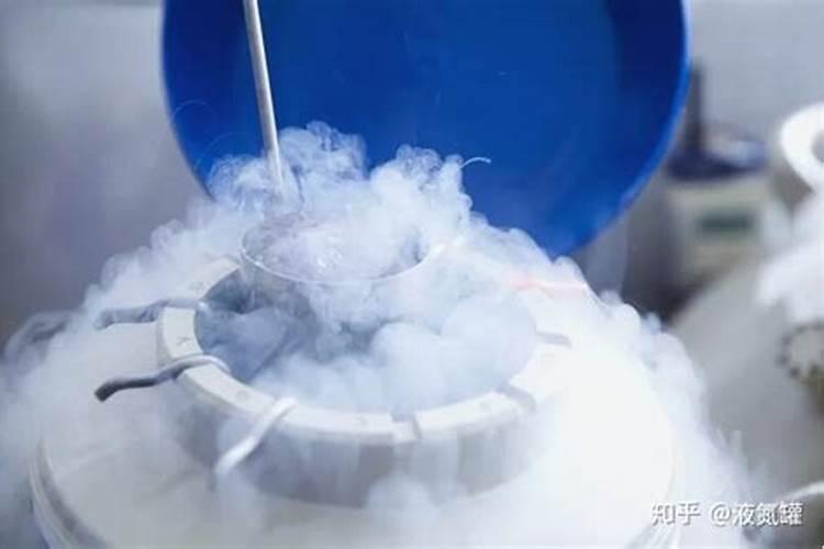 什么氮肥最好(什么氮肥最好用)