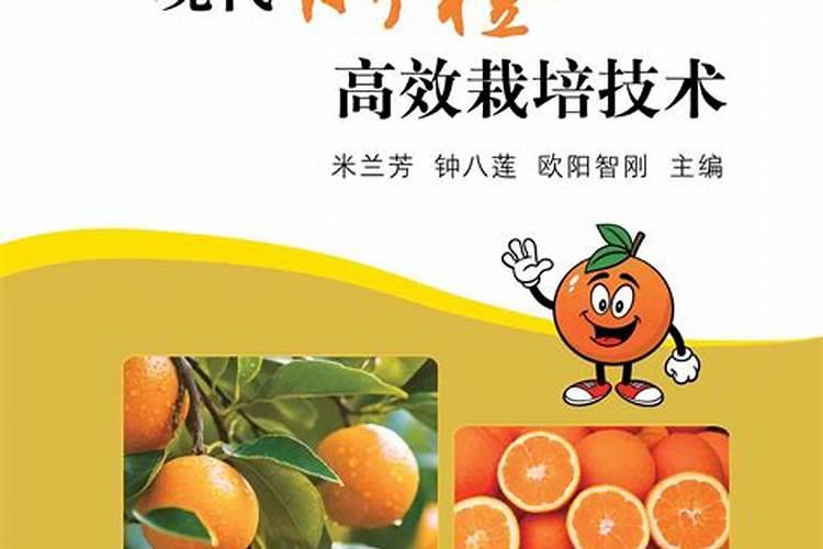 鱼虫怎么在家繁殖