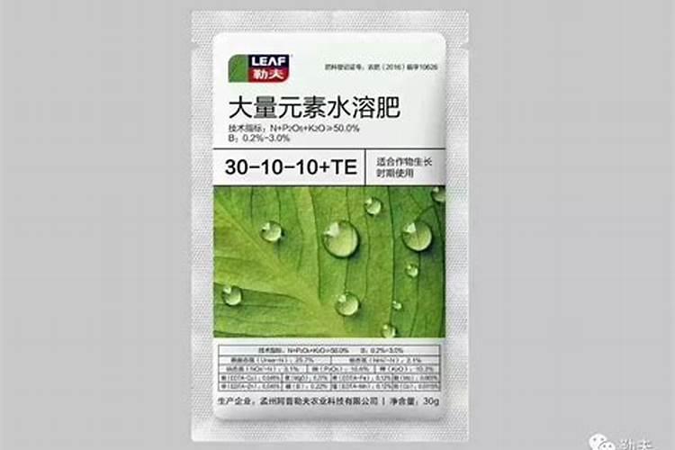 硫磺大蒜如何辨别？老蒜农教你一招