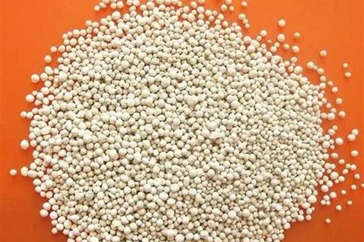 种菜用什么肥料最好