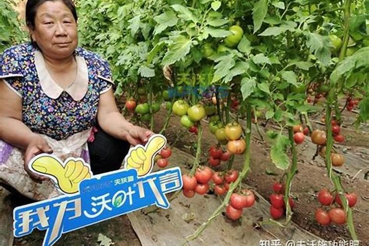 水溶肥的前景真的那么好么？