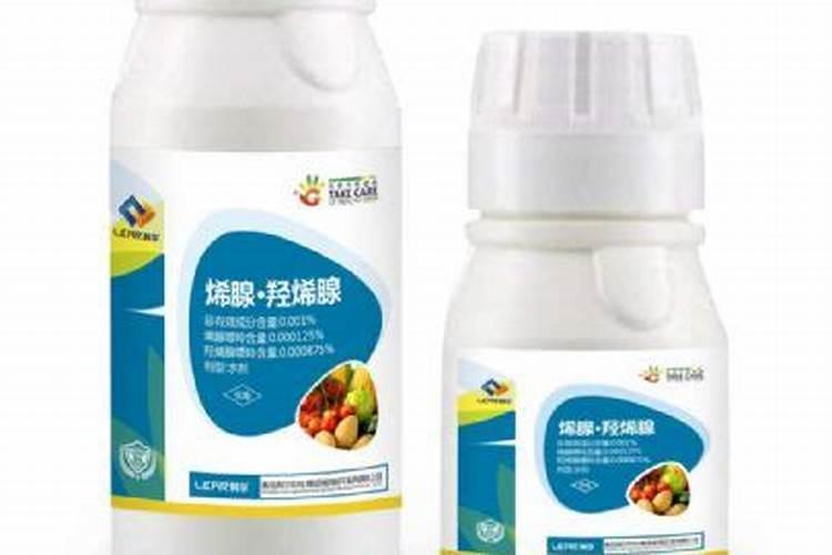 冬枣硬核后膨大用什么药 效果好