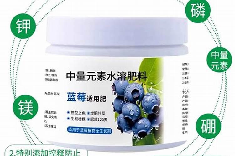黄芪根茎膨大用什么好？追肥用哪种肥料？黄芪养根用“根小子”