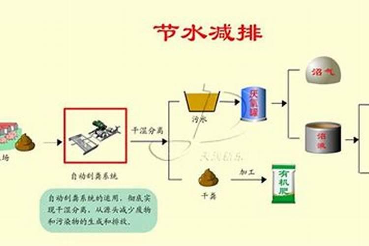 绿化树用什么肥料最好