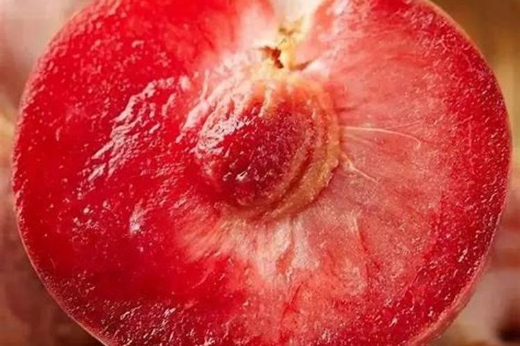 春季李子开花前后的施肥技术