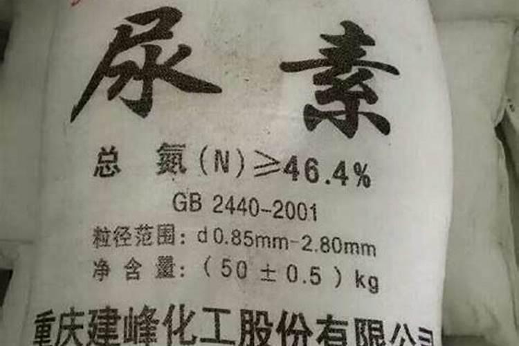 粿粒有机肥比粉末有机肥好在哪