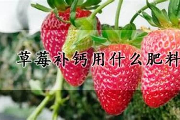 种玉米用什么牌的化肥好？