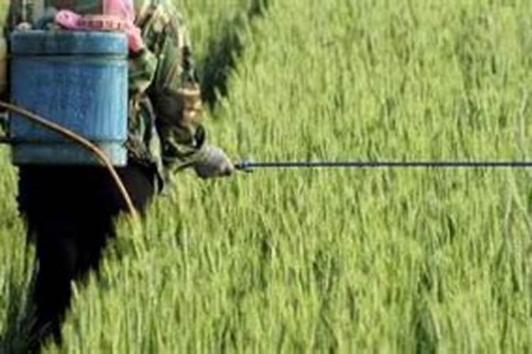 影响一水硫酸锌白度的因素有哪些？