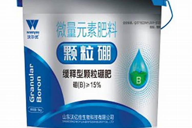 莲藕现在需要上什么肥料