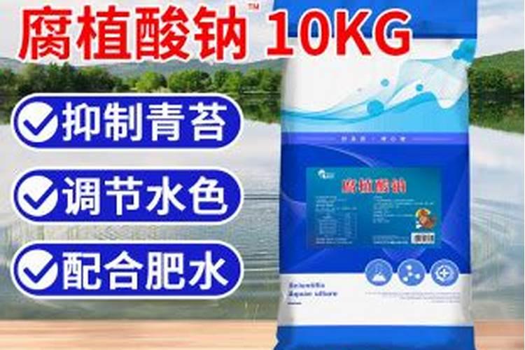 处理蓝藻腐殖酸钠过后需要什么