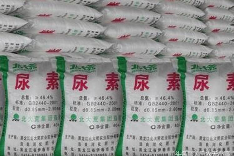 在哪个网上可以买化肥