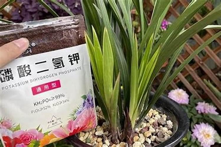 孩子的尿能浇花吗？