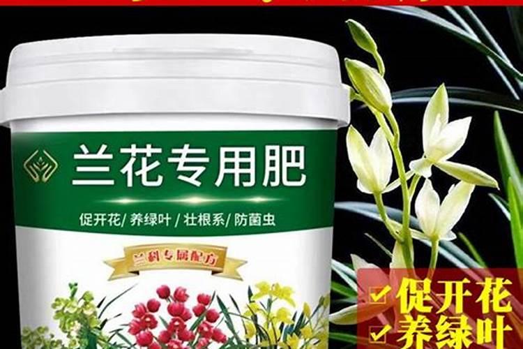 棉花后期喷肥的技巧