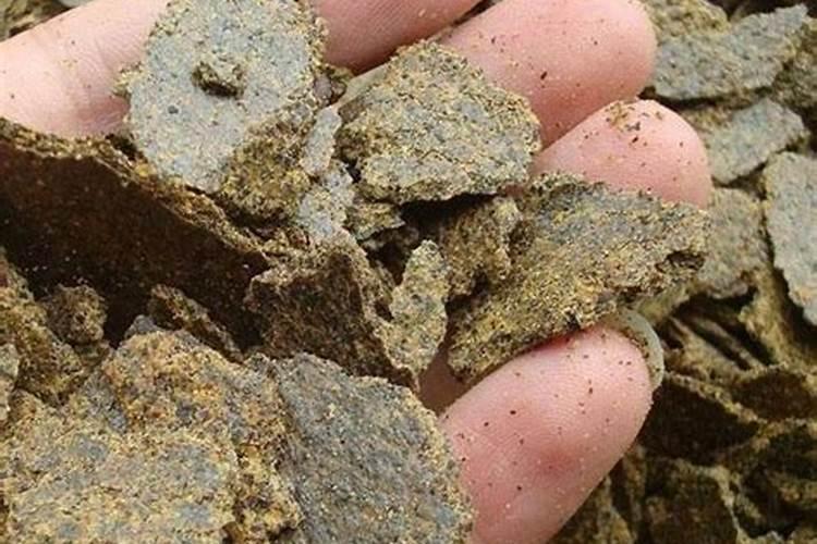 买回来饼肥直接能用吗