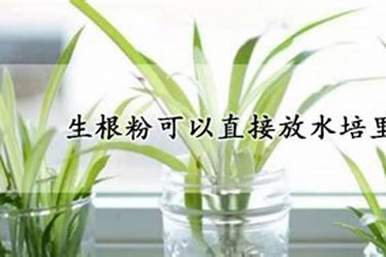 烂水果做花肥
