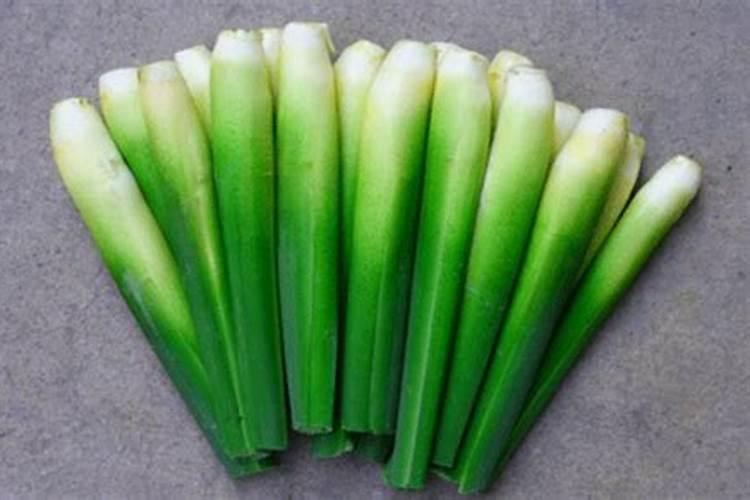 反季节种茭白成活率高吗？