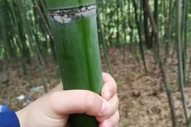 钾,氮,磷,肥料的配比是多少