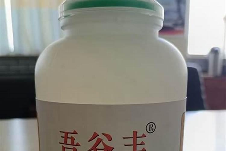 长沙地区东魁杨梅树苗种植园地址