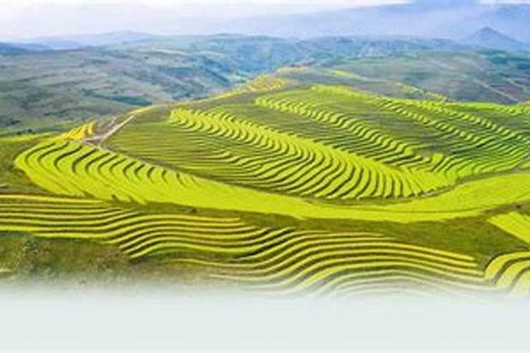 钙肥与水果、蔬菜品质有何关系？