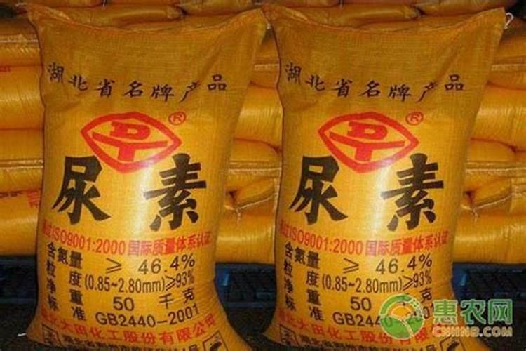 尿素能兑水浇菜吗