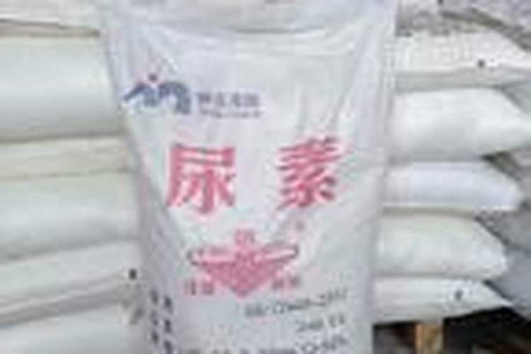 小孩查微量元素多久出结果