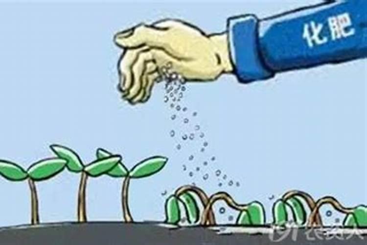 金家河镇资源概况