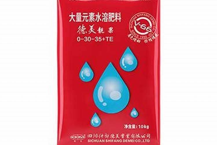金枝玉叶夏天能换盆吗