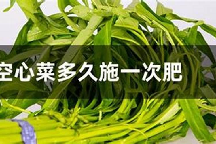 空心菜多久施一次肥(需要什么肥料)